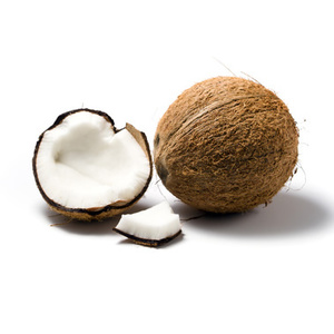 coconut.jpgのサムネール画像