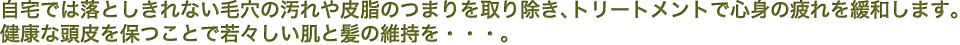 自宅では落としきれない毛穴の汚れや皮脂のつまりを取り除き、トリートメントで心身の疲れを緩和します。 健康な頭皮を保つことで若々しい肌と髪の維持を・・・。